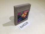 BZ4228 X Ekkusu GameBoy Game Boy Japan