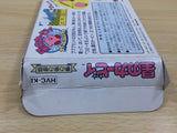 UE8262 Kirby Kirby's Adventure BOXED NES Famicom Japan