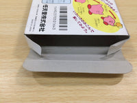 UE8262 Kirby Kirby's Adventure BOXED NES Famicom Japan
