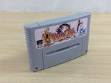 Art Of Fighting BOXED SNES Super Famicom Japan - UD9031