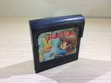 DK6917 Puyo Puyo Sega Game Gear Japan