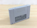 Art Of Fighting BOXED SNES Super Famicom Japan - UD9031