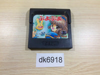 DK6918 Puyo Puyo Sega Game Gear Japan