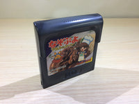 DK6919 Nazo Puyo Arle no Ruu Sega Game Gear Japan