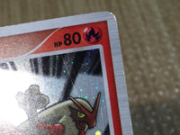 CE7923 Blaziken Pokemon FB Rare Holo Pt3 019/100 Pokemon Card TCG Japan