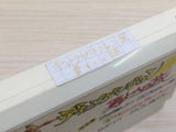 Deep Dungeon BOXED NES Famicom Japan - UE4029