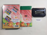 FH4297 Wonder Boy III Monster Lair BOXED Mega Drive Genesis Japan