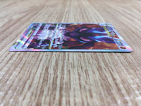 ce2067 Lucario VSTAR SAR s12a 226/172 Pokemon Card TCG Japan