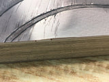 AAA1321 Made in Abyss Vol.6 Japanese Manga