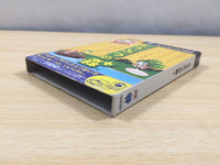ue6773 Animal Crossing Doubutsu no Mori + BOXED GameCube Japan