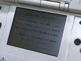 LG2373 Plz Read Item Condi Nintendo DS Platinum Silver Console Japan