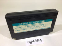 ag4854 Chack'n Pop NES Famicom Japan