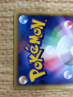 CE8942 Totodile PROMO EM 008/018 Pokemon Card TCG Japan