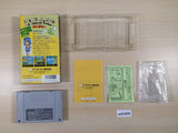 Joe & Mac Tatakae Genshijin BOXED SNES Super Famicom Japan - UE5468