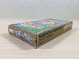 Joe & Mac Tatakae Genshijin BOXED SNES Super Famicom Japan - UE5468