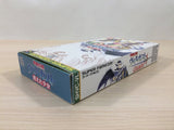 Kouryuu Densetsu Villgust Kieta Shoujo BOXED SNES Super Famicom Japan - UE1607