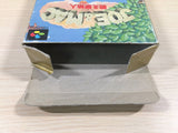 Joe & Mac Tatakae Genshijin BOXED SNES Super Famicom Japan - UE5468