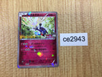 CE2943 Xerneas PROMO PROMO 051/XY-P Pokemon Card TCG Japan