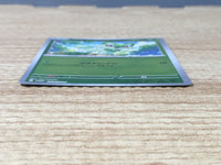 CE6545 Sprigatito  PROMO PROMO 213/SV-P Pokemon Card TCG Japan