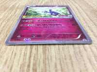 CE2943 Xerneas PROMO PROMO 051/XY-P Pokemon Card TCG Japan