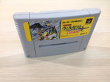 Kouryuu Densetsu Villgust Kieta Shoujo BOXED SNES Super Famicom Japan - UE1607