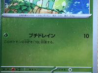 CE6545 Sprigatito  PROMO PROMO 213/SV-P Pokemon Card TCG Japan