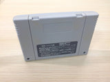 Kouryuu Densetsu Villgust Kieta Shoujo BOXED SNES Super Famicom Japan - UE1607
