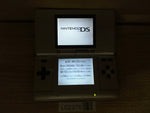 LG2376 Plz Read Item Condi Nintendo DS Platinum Silver Console Japan