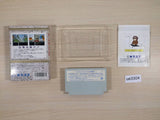 A Taxing Woman Marusa no Onna BOXED NES Famicom Japan - UE3304