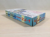 Lennus Paladin's Quest BOXED SNES Super Famicom Japan - UE3813