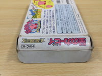 ue5815 Kirby Kirby's Adventure BOXED NES Famicom Japan