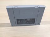 Lennus Paladin's Quest BOXED SNES Super Famicom Japan - UE3813