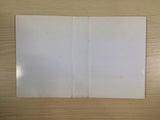 Wagan Land BOXED NES Famicom Japan - UE3682