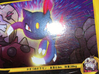 CE8742 Team Rocket Sneasel - PROMO 003/P Pokemon Card TCG Japan