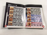 ManualOnly Nectaris GB GameBoy Game Boy Japan - HA1149