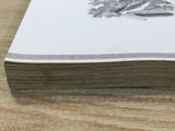AAA1181 Ramen Discovery Legend Vol.8 Japanese Manga