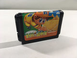 DK4184 Kyuukai Douchuuki BOXED Mega Drive Genesis Japan