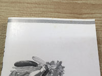 AAA1181 Ramen Discovery Legend Vol.8 Japanese Manga