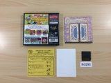 Okaeri! Chibi Robo! BOXED Nintendo DS Japan - FH3293