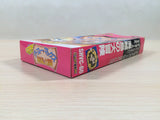 Goofy to Max Kaizoku Shima no Daibouken BOXED SNES Super Famicom Japan - UE5264