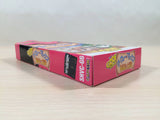 Goofy to Max Kaizoku Shima no Daibouken BOXED SNES Super Famicom Japan - UE5264