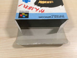 Hammerin' Harry Ganbare! Daiku no Gensan BOXED SNES Super Famicom Japan - UE3816