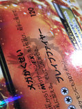 CE6336 CharizardEX - PROMO 030/XY-P Pokemon Card TCG Japan
