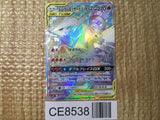 CE8538 Reshiram Charizard tag team GX HR SM10 108/095 Pokemon Card TCG Japan