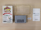 Dai Bakushou Jinsei Gekijou BOXED SNES Super Famicom Japan - UE1200