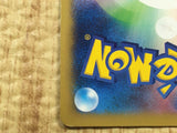 CE4584 Pikachu PROMO PROMO 064/XY-P Pokemon Card TCG Japan