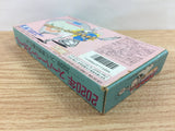 2020 Super Baseball BOXED SNES Super Famicom Japan - DI4619