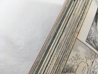 AAA1795 Mushishi Vol.7 Japanese Manga