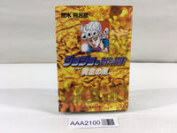 AAA2100 JoJo's Bizarre Adventure Vol.33 Japanese Manga