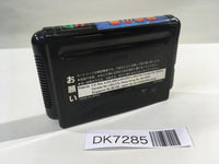 DK7285 Art Of Fighting Ryuuko no Ken Mega Drive Genesis Japan